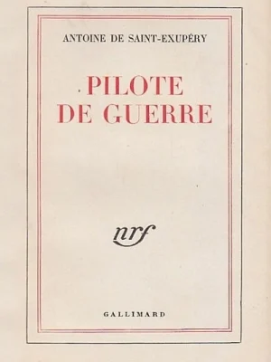 Pilote De Guerre